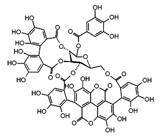 1-<i>alpha</i>-<i>O</i>-Galloylpunicalagin Chemical compound