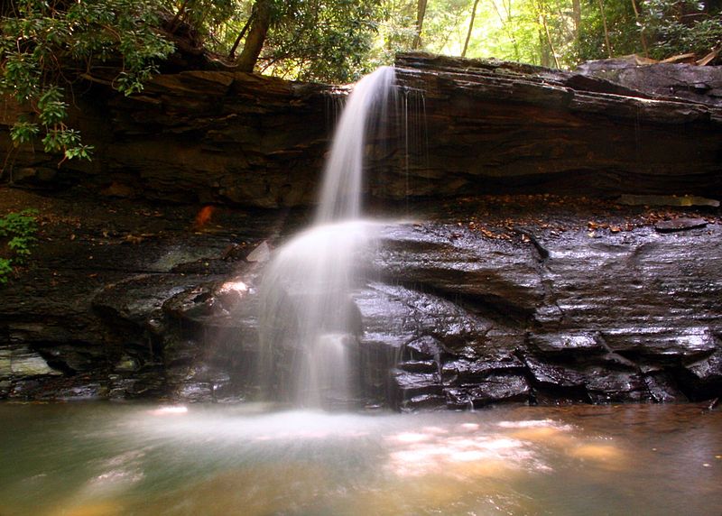 File:Amazing-Waterfall ForestWander.jpg