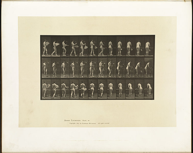 File:Animal locomotion. Plate 441 (Boston Public Library).jpg