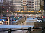 Kattenburgervaart