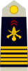 Ejército-FRA-OF-05.svg