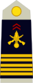 Quân hàm Đại tá Lục quân Pháp