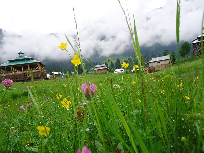 File:Arrang Kel Valley Azad Kashmir (Pakistan).JPG