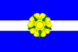 Vlag