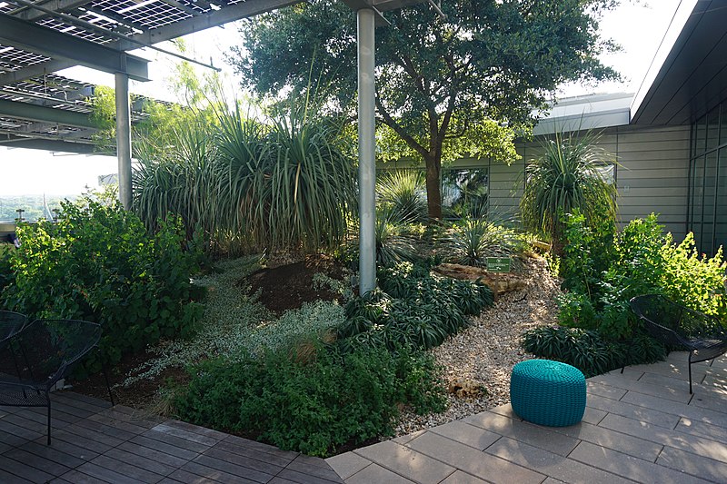 File:Austin Public Library August 2019 11 (Roof Garden).jpg