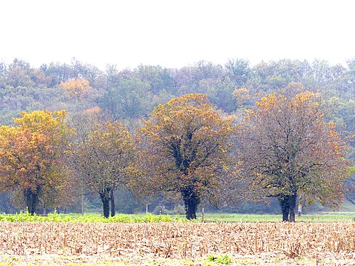 Autumn in Corrèze