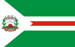 Миниатюра для Файл:Bandeira de Tangará da Serra.svg