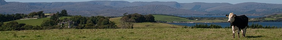 Bantry page banner