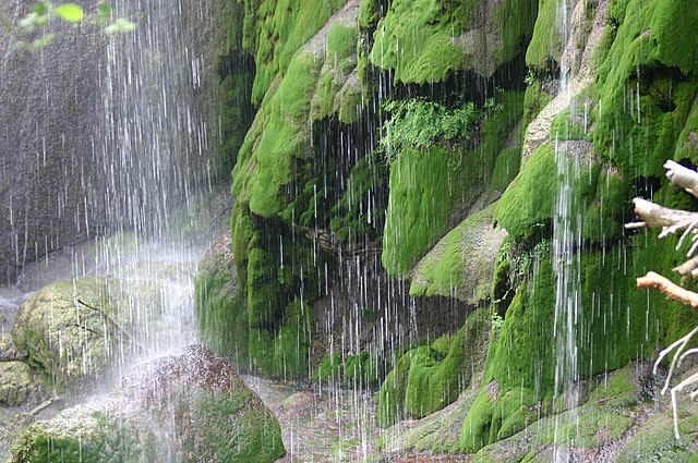 Colorado Bend State Park- Wikipedia