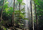 Miniatura para Parque nacional de Biogradska Gora