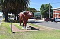 English: The "Mallee Bull" in Birchip, Victoria