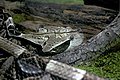 * Nomination Head of a Bitis gabonica rhinoceros Gaboon viper.--Jebulon 00:01, 7 March 2011 (UTC) * Decline no clear composition --Mbdortmund 12:35, 7 March 2011 (UTC)