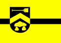 Vlagge van de gemiente Börger-Oring