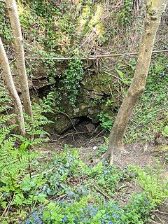 <span class="mw-page-title-main">Bos Swallet</span> Cave in Somerset, England