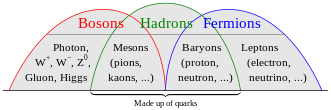 Bosons form one of the two fundamental classes of subatomic particle, the other being fermions. All subatomic particles must be one or the other. A composite particle (hadron) may fall into either class depending on its composition Bosons-Hadrons-Fermions-RGB.svg