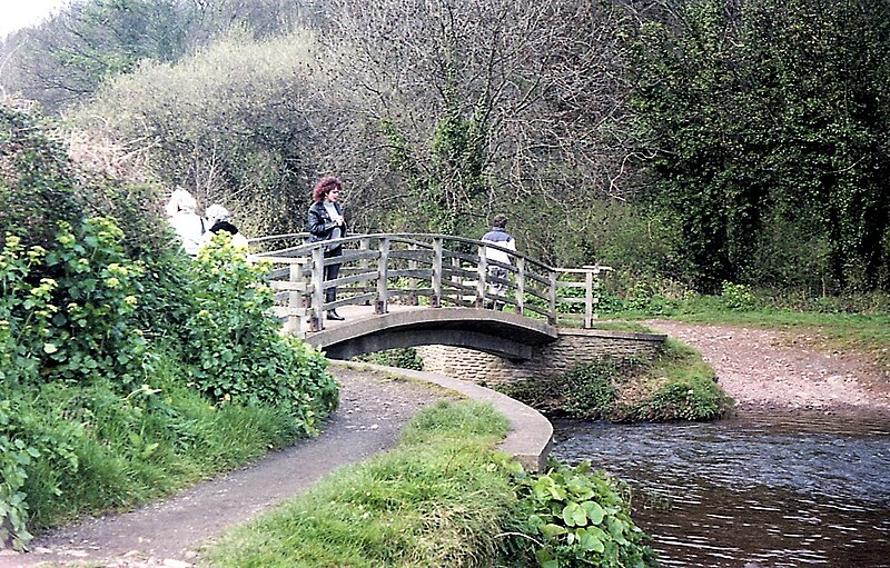 File:Bossington Footbridge - geograph.org.uk - 5530340.jpg