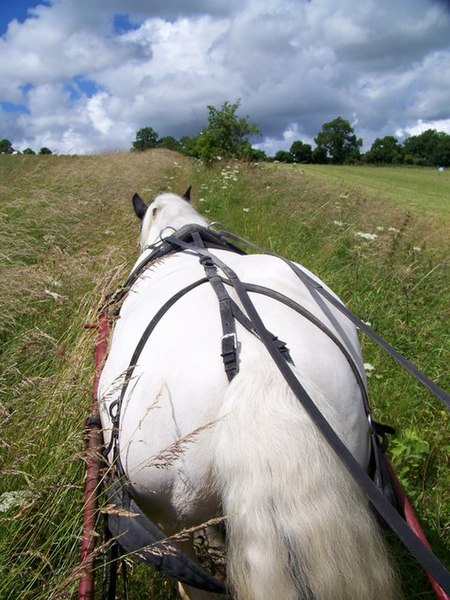 File:Bridleway, Throope Bottom - geograph.org.uk - 870395.jpg