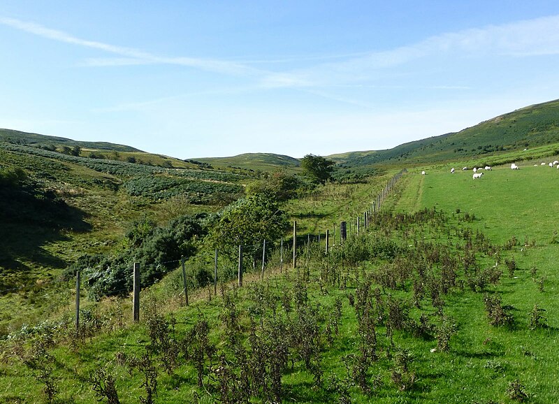 File:Bridleway to Yetholm - geograph.org.uk - 5126222.jpg