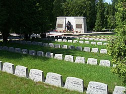 Tallinn'in Bronz Askeri, 2007.jpg