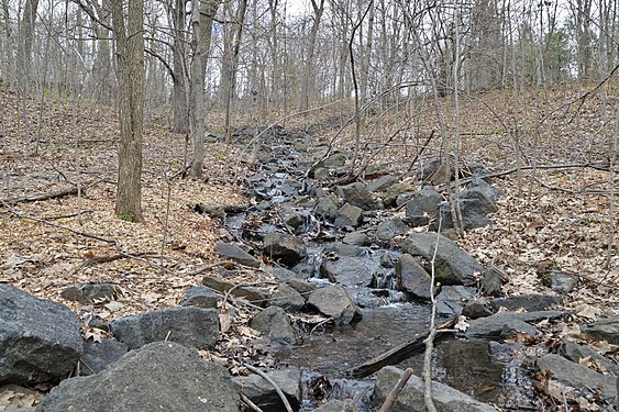 Brook at Mount Royal