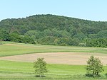 Buchenberg (Entenberg)