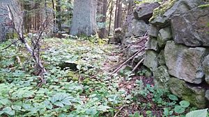 Rotenzimmern castle ruins