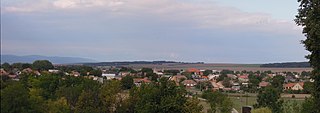 <span class="mw-page-title-main">Čab</span> Village in the Nitra District of western central Slovakia