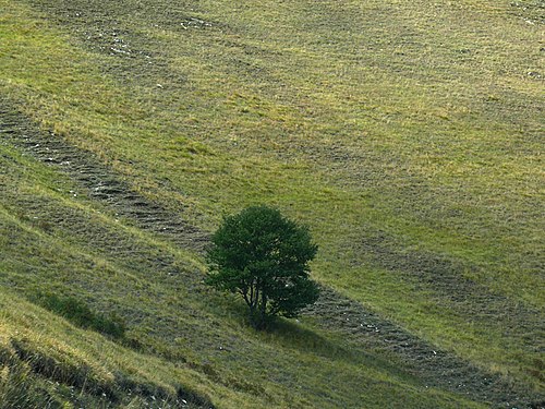 Piani di Castelluccio