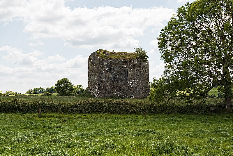 File:Castles of Munster, Ballyegnybeg, Limerick (1) - geograph.org.uk - 4570277.jpg