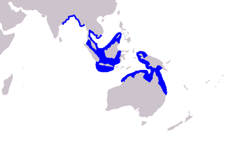 Distribución de Orcaella brevirostris