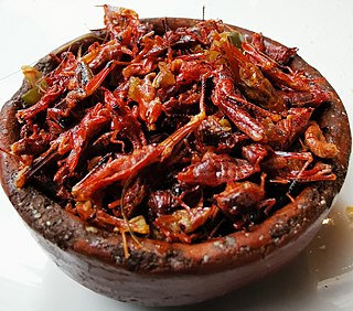 <i>Chapulines</i> Mexican dish of grasshoppers