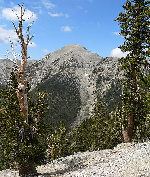 File:Charleston Peak from North Loop 1.jpg