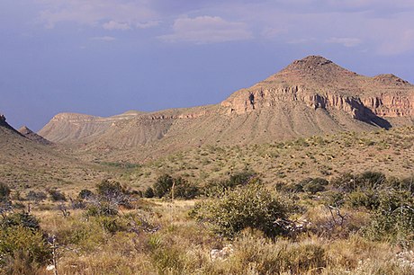 صحراء شيواوية