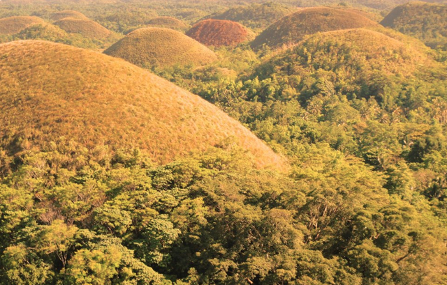 Chocolate Hills - Wikipedia