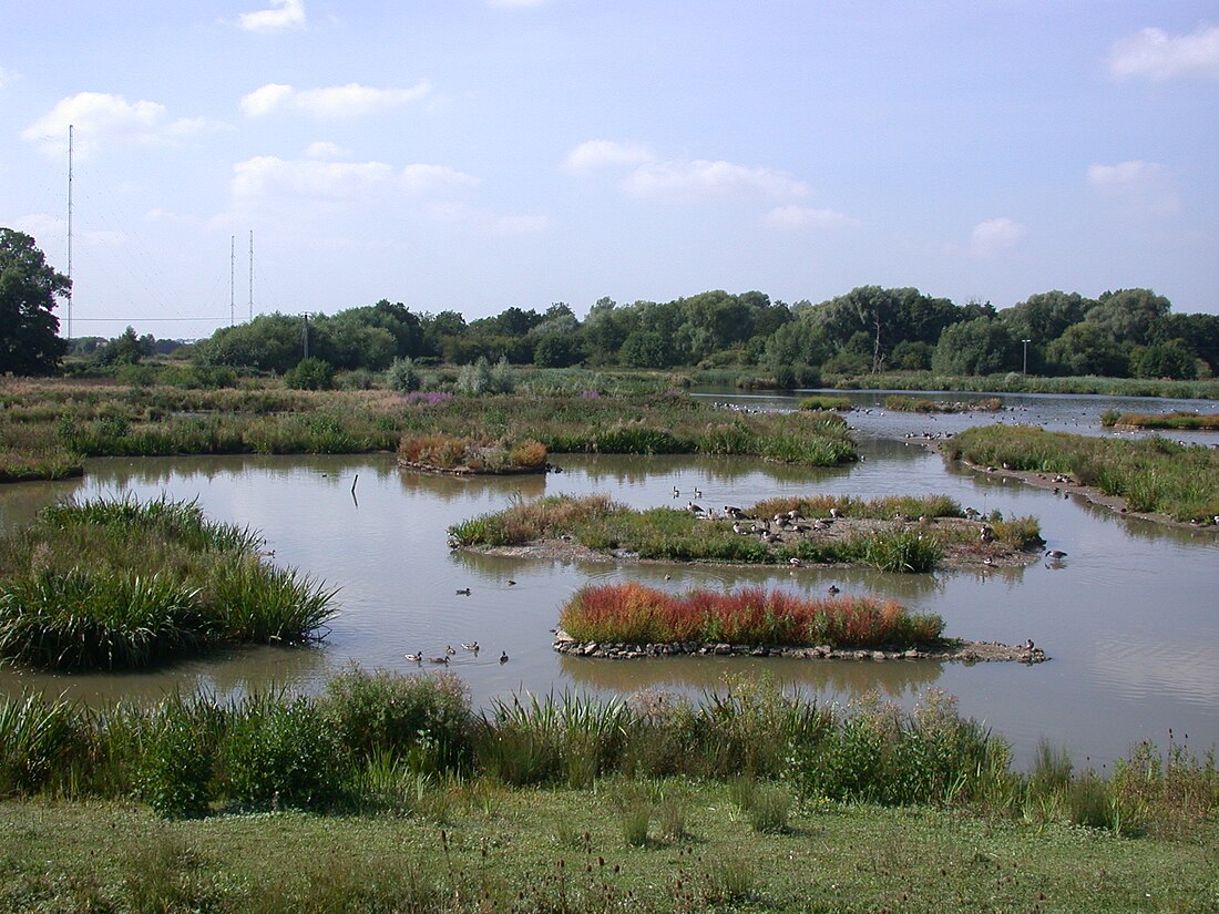 Worcestershire Wildlife Trust