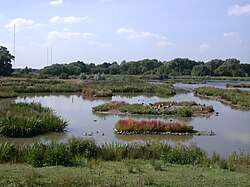 Christopher Cadbury Wetland - Upton Warren - Andy Mabbett.JPG