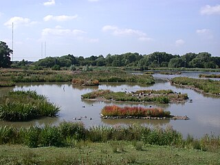 Christopher Cadbury Wetland Reserve