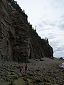 Cliffs, Cape Enrage..2.jpg