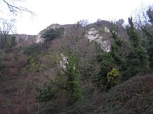 Cliffs in the Undercliff - geograph.org.uk - 771368.jpg