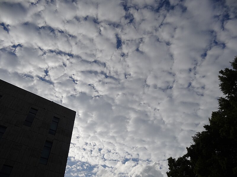 File:Clouds in Dresden (451).jpg