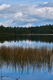 Coleman State Park State park in Coös County, New Hampshire