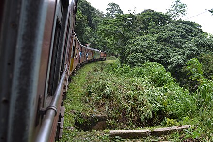 The train ride from Colombo to Kandy