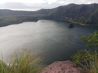 Luzon rain forests