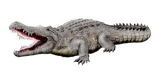 <i>Crocodylus anthropophagus</i> Extinct species of reptile