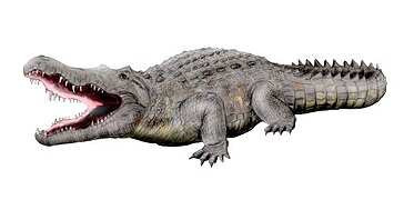 Crocodylus anthropophagus (espèce éteinte)