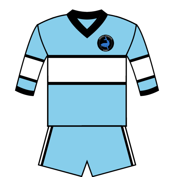 File:Cronulla-Sutherland Jersey 1981.png