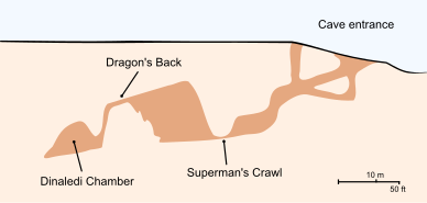 A cross-section of a portion of the Rising Star cave system leading to the Dinaledi Chamber