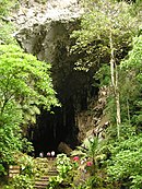 Cueva del Guacharo.jpg 