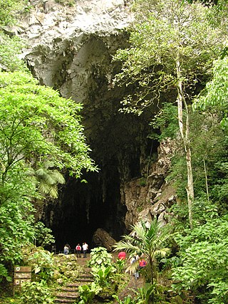 <span class="mw-page-title-main">Cueva del Guácharo National Park</span> National park in Venezuela