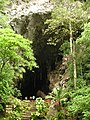 Entrada a la Cueva del Guácharo.